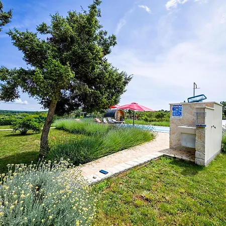 Bella Di Campo *